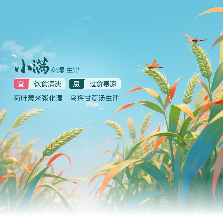 节气插画